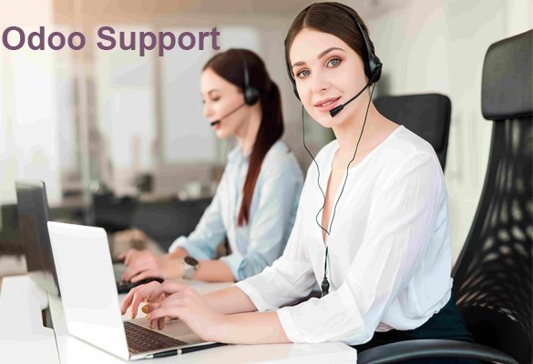 Odoo Support - 25 Hours Plan
